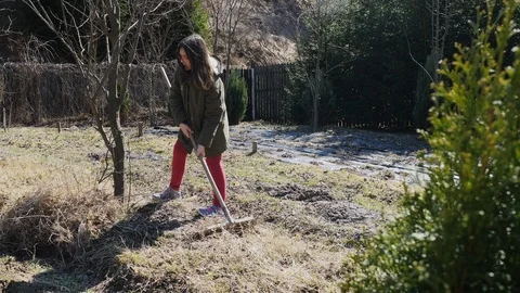 Leaves falling from maple tree and woman working with raker tool in garden. 4K Video stock 105378278