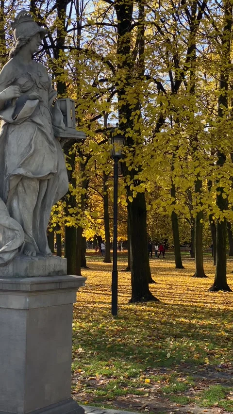 Leaves falling in Ogrod Saski park in Warsaw in autumn. Vertical video Stock Footage 255141635