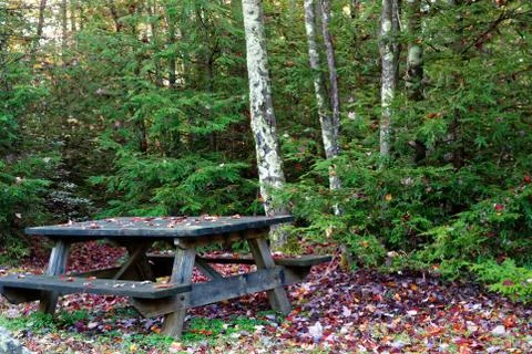 Leaves falling over a picnic table in the fall Stock Photos