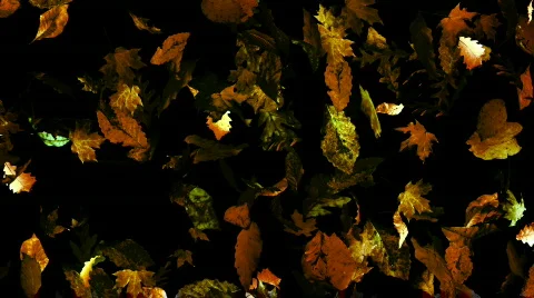 Leaves Falling Over a Textured Background LOOP Stock Footage 377504