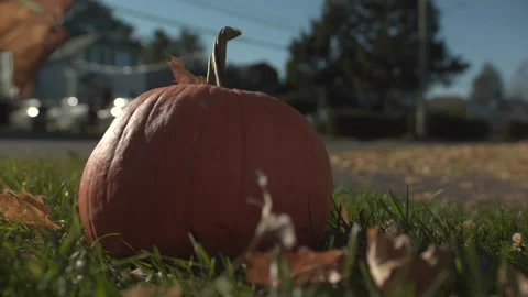 Leaves falling on pumpkin slow motion Stock Footage 142979043