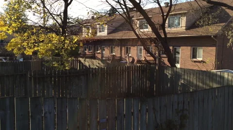 Leaves falling in a residential back yard Stock Footage 58653033