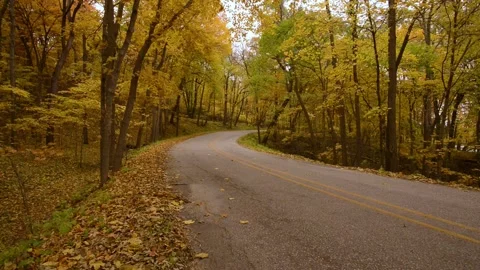 Leaves Falling on Road in Fall Stock Footage 140629301