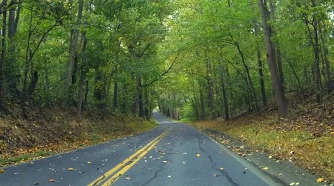 Leaves Falling on Road Stock Footage 58807720