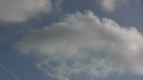 Leaves falling from the sky Stock Footage 542746