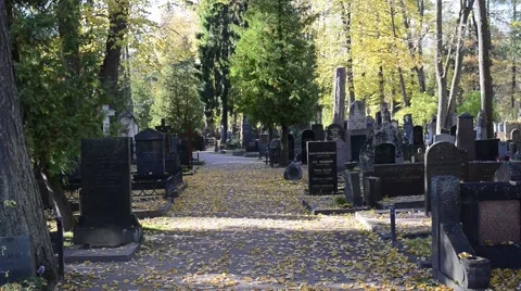 Leaves falling on a small sand road in Hietaniemi cemetery Stock Footage 49737614