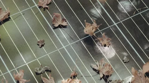 Leaves falling on solar panel Stock Footage 297808045