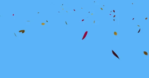 Leaves Falling Toward Camera Stock Footage 153859554