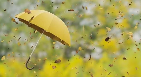 LEAVES Falling on a umbrella Stock Illustration