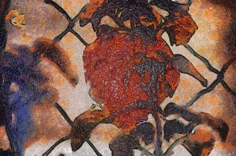 Leaves &amp; fence Stock Illustration