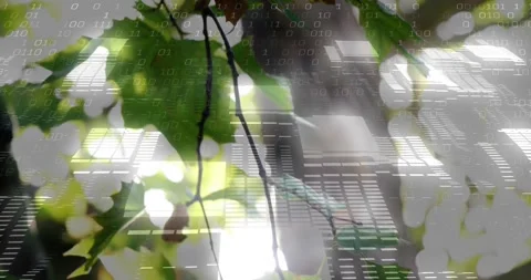Leaves filling front with frames shifting, binary code rising, person behind 動画素材 330237808