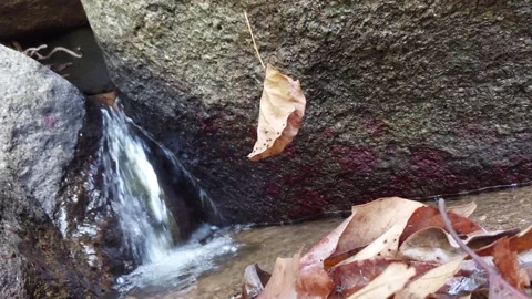 Leaves float in the air near the waterfall Stock-Footage 260850177