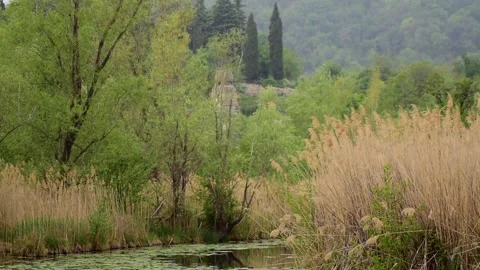 The leaves float in a fairy-tale pool Stock Footage 240495511