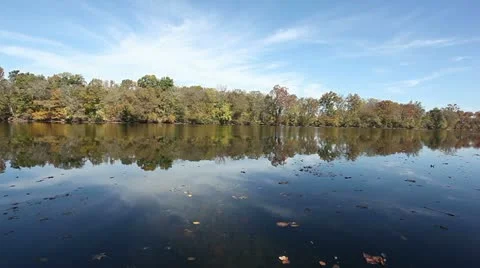 Leaves floating on river landscape Stock Footage 22160279