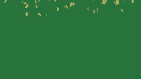 Leaves flowers falling green screen composition scene cartoonish design Stock Footage 335697115
