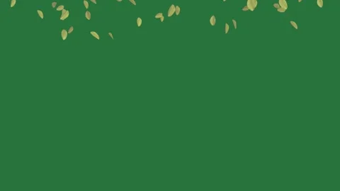 Leaves flowers falling green screen scene expression movement frame design Stock-Footage 335697161