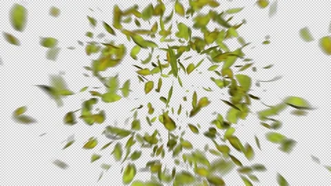 Leaves flying with Alpha 動画素材 158962425