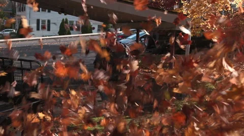 Leaves flying toward camera Stock Footage 44774755