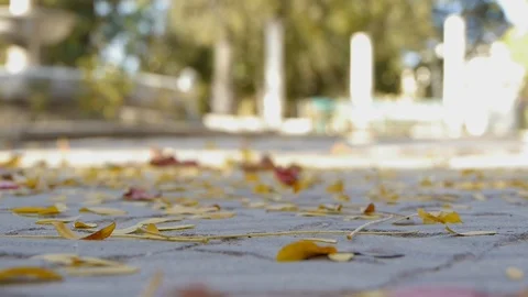 Leaves flying from the wind on the floor focus, a man passes 02 Vídeos de archivo 117780868