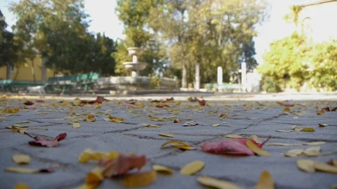 Leaves flying from the wind on the floor, a man passes 01 Stock Footage 117780899