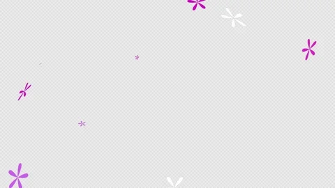 Leaves flying on wind leaf icon loop Animation video transparent background.. Stock Footage 254379787