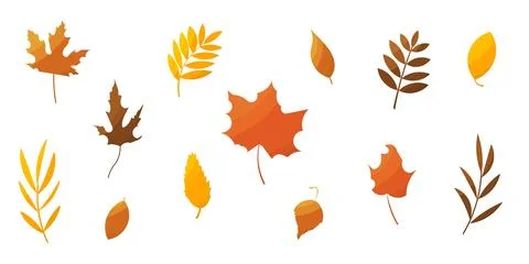 Leaves foliage autumn set elements forest colored 스톡 일러스트