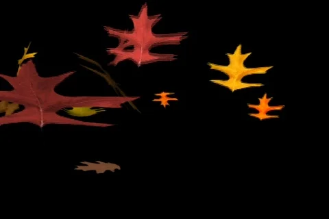 Leaves Stock Footage 335204