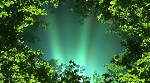 Leaves Video stock 22563976