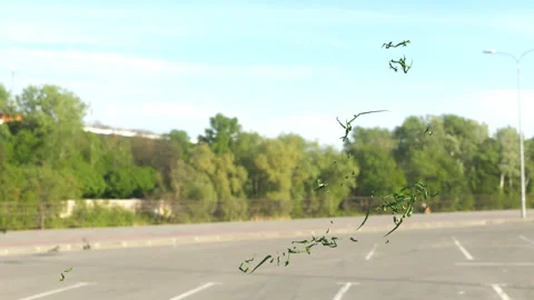 Leaves Video stock 131236021