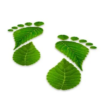 Leaves footprints on a white background, relating to the environment Illustrazione stock