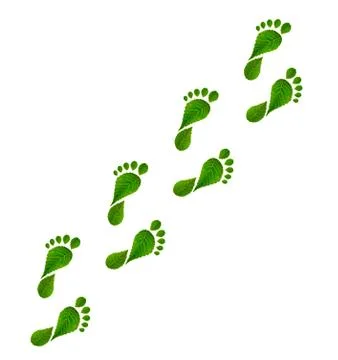 Leaves footprints on white Illustrazione stock