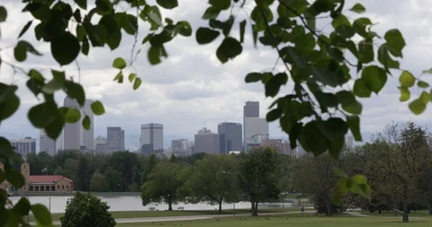 Leaves in foreground Denver skyline Video stock 118423739