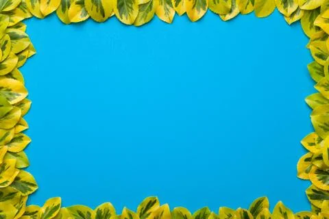 Leaves Frame on Blue Background Foto stock
