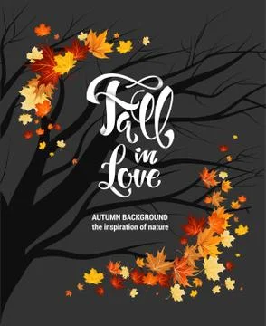 Leaves as frame on dark Stock Illustration