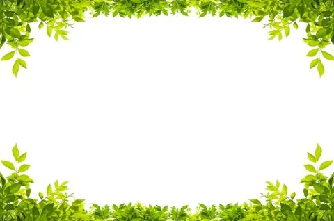 Leaves frame Stock Illustration