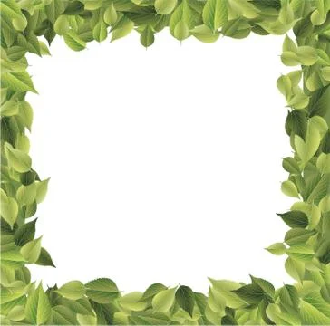 Leaves frame Stock Illustration