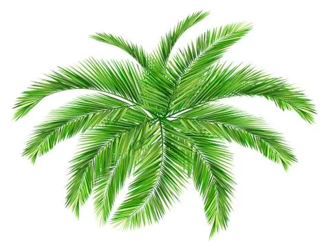 Leaves frame Stock Illustration