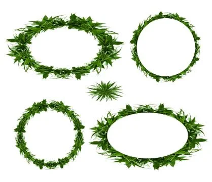 Leaves frame isolated on white background Stock Photos