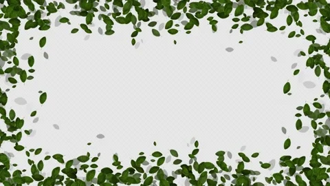 Leaves Frame Loop Video stock 162356763