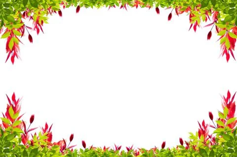 Leaves frame Stock Photos