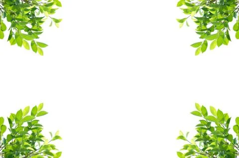 Leaves frame Stock Photos