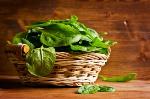Leaves of fresh spinach Stock Photos