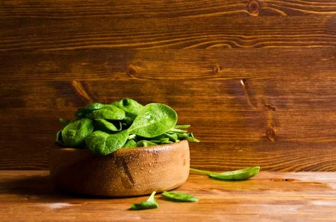 Leaves of fresh spinach Stock Photos