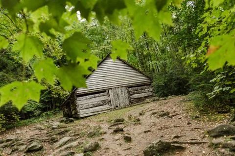 Leaves in front of cabin Stock Photos