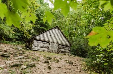 Leaves in front of cabin Stock Photos