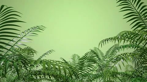 Leaves, grass, branches. Blowing wind effect. Botanical floral frame. Zoom out Stock Footage 162230029