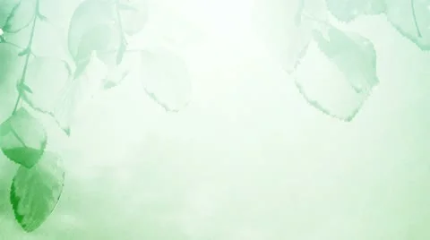 Leaves the green environment 1 Stock Footage 10835112