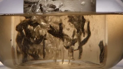 Leaves of green leaf tea are brewed in glass teapot, slow motion Stock Footage 73852673