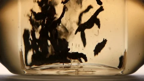 Leaves of green leaf tea brewed in teapot. Slow motion Vidéo 73853192