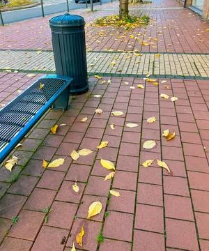 Leaves on ground next to empty public bench and trash bin on red brick paveme Stock Photos